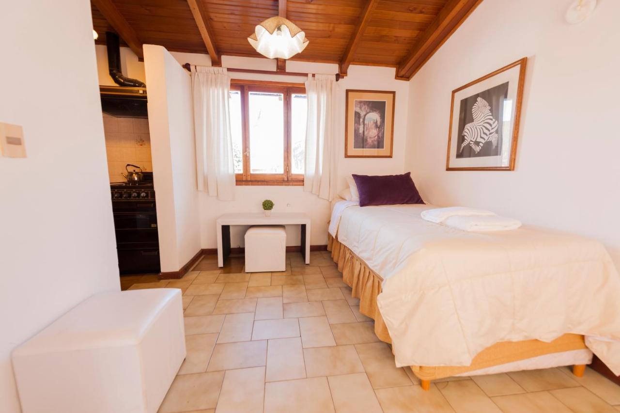 Depto Centrico Vistas 360 Apartment San Martin de los Andes Luaran gambar